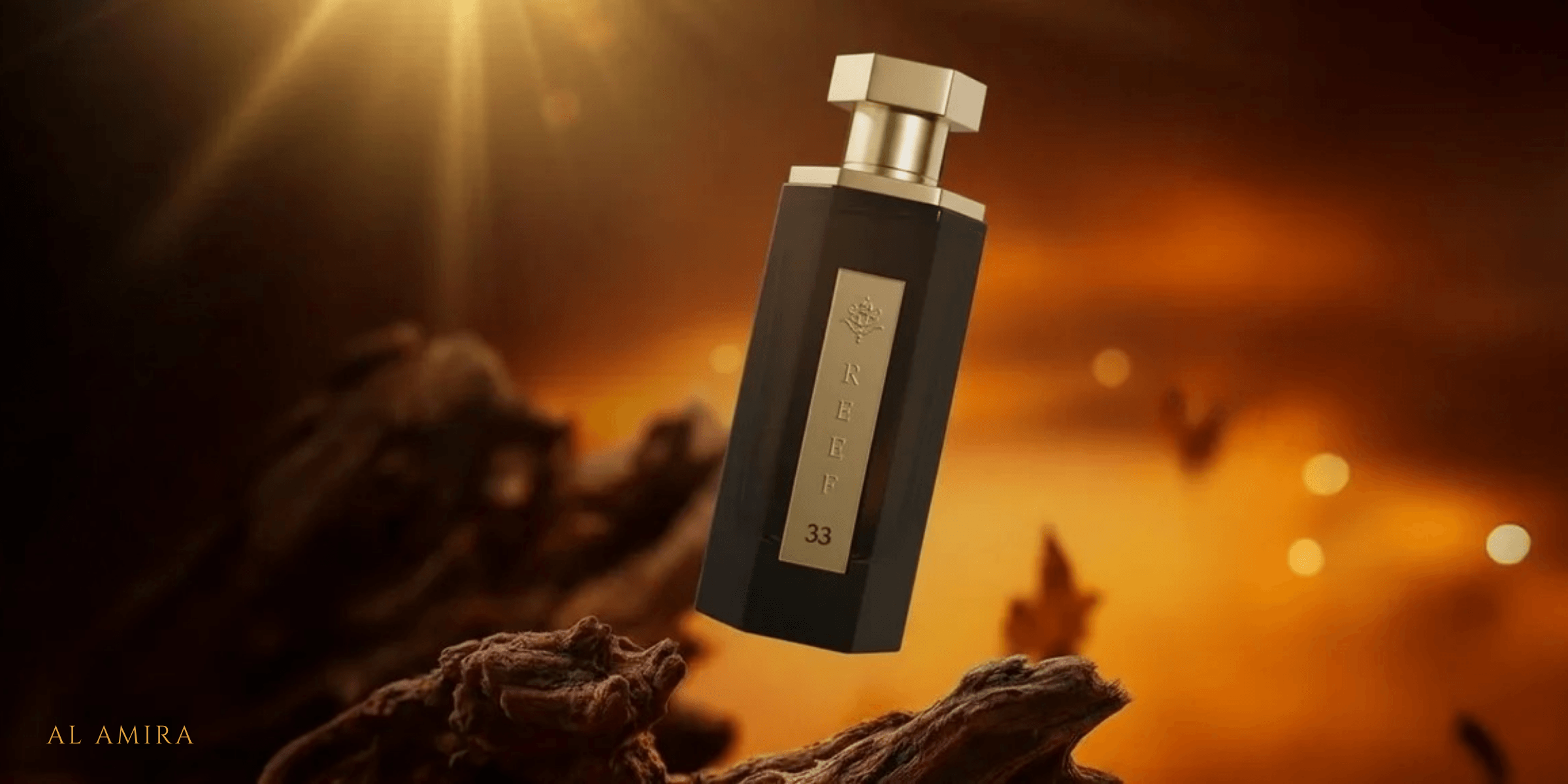 Reef Numbered Series Explained: All 10 Perfumes Compared