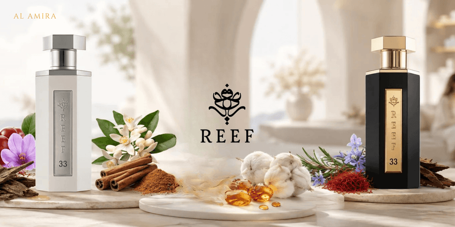 Reef 33 vs Reef 33 White: What’s the Difference?
