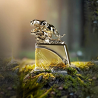 Arabiyat Prestige Fahad Regal bottle in a woodland setting
